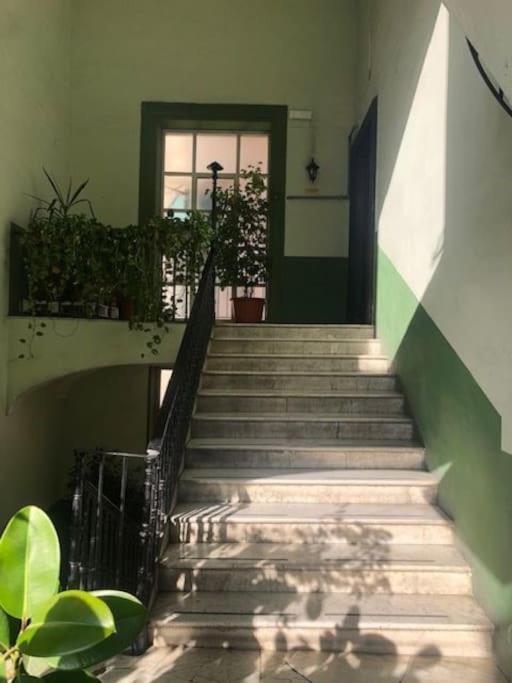 Domus Museum * Napoli