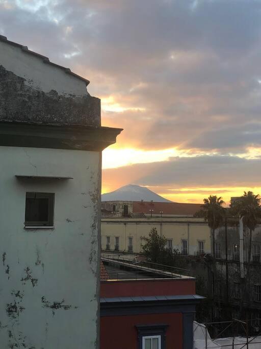 Domus Museum Napoli